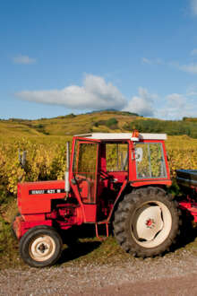 União Europeia aprova novas regras de proteção a produtores de vinho