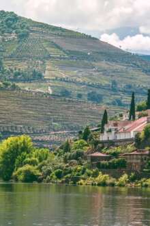 Paisagem das vinhas no rio Douro.