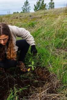 Os desafios das mulheres na agricultura: há mais dificuldades no Norte e Centro do país