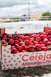 cereja