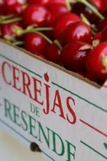CP e Câmara de Resende lançam “Rota da Cereja” para promover turismo local