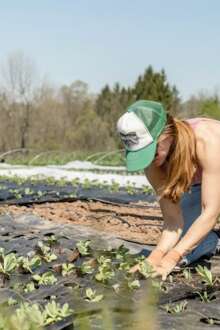 Jovem agricultora a plantar hortícolas