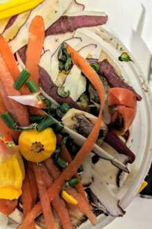 Restos de comida num prato