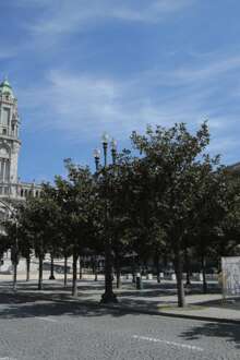 Autarcas do Porto e Matosinhos juntaram-se para um debate