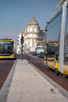 Autarcas de Coimbra defendem criação de uma Região Metropolitana