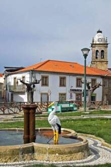 Cartão de saúde municipal realizou mais de 4.400 consultas num ano em Figueira de Castelo Rodrigo