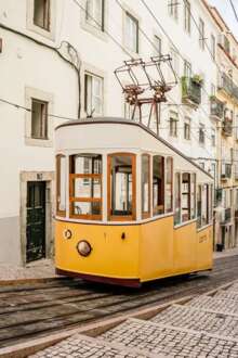 Lisboa vai criar regulamento para reduzir pessoas expostas a ruído exterior