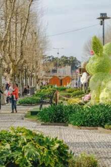 A única Feira do Livro Infantojuvenil ao ar livre do país celebra o imaginário e a criatividade junto da Natureza