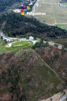 Foto: Câmara Municipal de Felgueiras