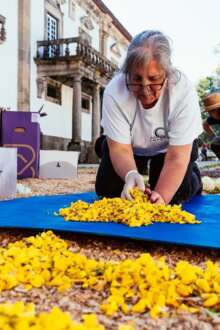 Tapete de flores com um quilómetro une comunidade à Casa de Mateus na Pascoela