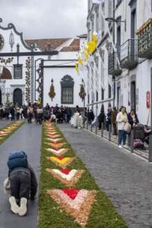 Ponta Delgada volta a encher-se de flores na festa do Santo Cristo