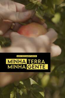 Da serra para a mesa