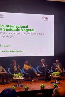 Sanidade vegetal: comércio global e entrada de pragas preocupam setor agrícola e florestal