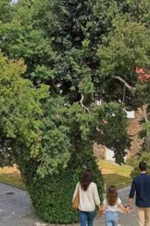 Escola de Hotelaria e Turismo de Coimbra promove a iniciativa "À Procura da Minha Carreira – Pais e Filhos à Descoberta da EHTC"