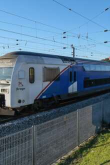 Autarca do Seixal diz que é "desumana" a forma como passageiros viajam na Fertagus