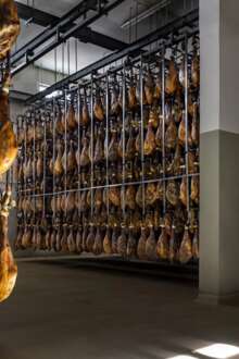 dezenas de presuntos de Barrancos