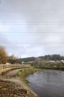 Câmara de Estarreja reabriu Passadiços do Antuã após reabilitação