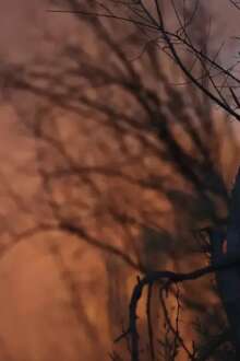 Bombeiro a lutar contra as chamas.