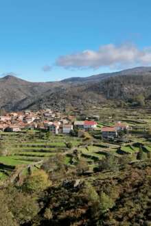 Incêndio do Gerês: o fogo o verde levou