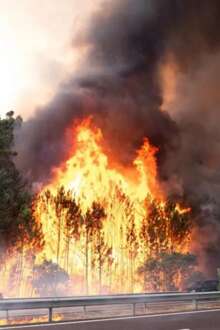 A1 reabre após incêndio em Aveiro ter estado cortada quase três horas