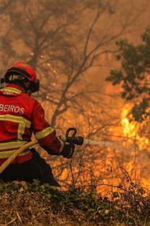 Bombeiro no combate às chamas