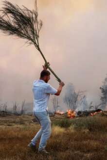 270.000: o número do ano é trágico e tem muitos rostos dentro