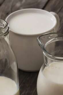 Setor poderá enfrentar “desastre económico”, alerta Centro Açoriano de Leite