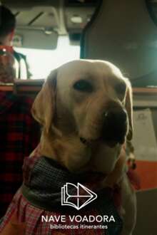 Nave Voadora - Oliveira de Azeméis