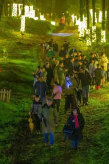 Ainda pode visitar a ‘Floresta Encantada’ que já atraiu 20 mil pessoas a Caminha