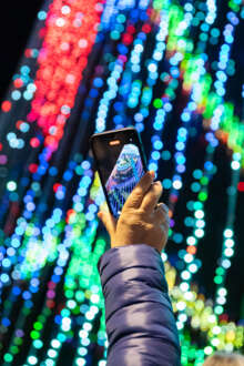 A maior árvore de Natal do país tem 55 metros e está em Ermesinde