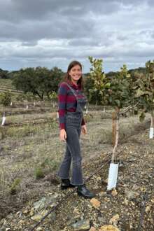 O projeto que reinventou a cultura do pistácio em Portugal