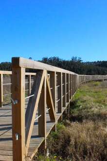 Reposição de passadiços em praias de Vagos nas prioridades identificadas pela APA