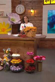 Intercidades com Rita Ferro Rodrigues | Ep. 32