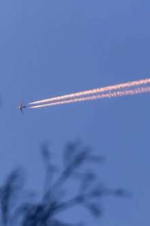 Avião a cruzar o céu com ramos de uma árvore num plano mais próximo