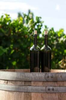 Imagem de duas garrafas de vinho