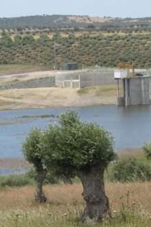 Barragem do Pisão