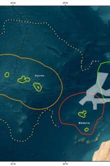 Conselho do Ambiente recomenda revisão da proposta de reseva marinha D.Carlos