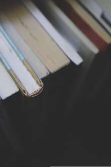 Soure promove “Mil Folhas” com aposta na leitura, cultura e comunidade