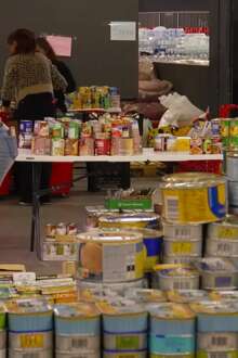 Portugal é o país convidado de honra nas Jornadas do Património de Sharjah 2026