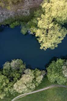 Em 2026, Guimarães é a Capital Verde Europeia pelo compromisso ambiental ao longo da última década 