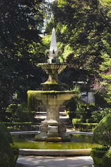 Jardim Botânico de Coimbra quer combater a “imperceção vegetal”