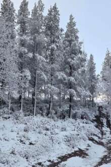 O inverno chegou com força: trovoada, chuva e neve marcaram o início da estação