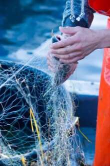 Detalhe de mãos de pescador a manusear rede de pesca