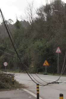 Sem luz, sem água, sem acessos: como a população viveu a segunda noite após a tempestade nas aldeias isoladas de Pombal