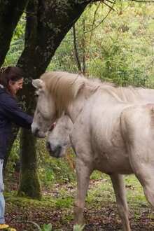 A Quinta das Águias é hoje um santuário animal e de biodiversidade, com mais de 160 animais e milhares de plantas.