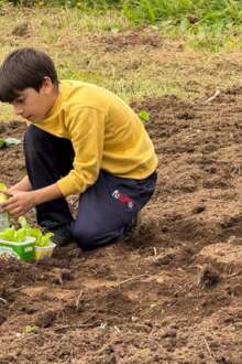 Duarte Sanches trocou brinquedos por sementes e colheu o prémio de jovem agricultor