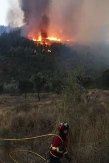 Serra em chamas ao fundo, num plano mais próximo vê-se um bombeiro.