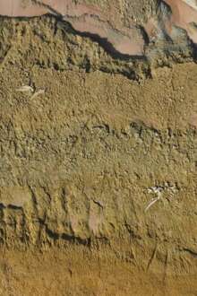 Vista aérea dos vestígios das baleias