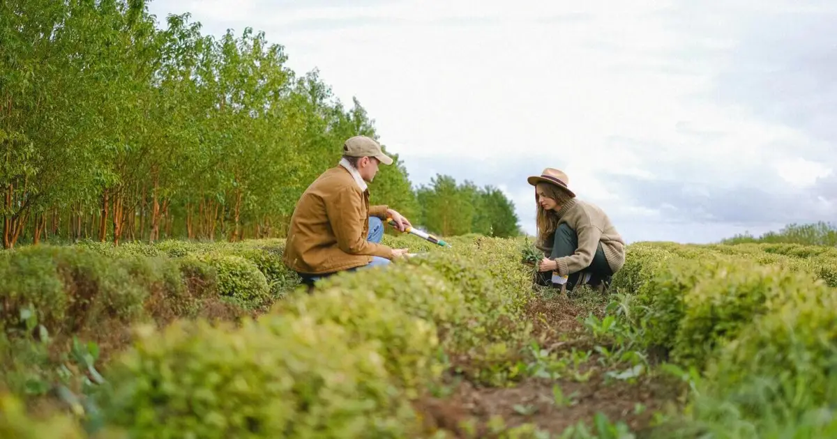 Portugal has unique conditions to lead in regenerative agriculture