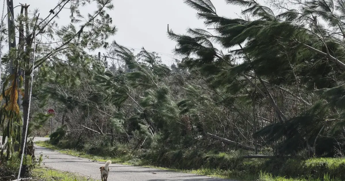 Setúbal estima prejuízos de 50 milhões de euros após tempestades